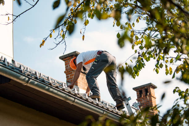 Best Best Roofing Contractors  in Martinsvle, IL