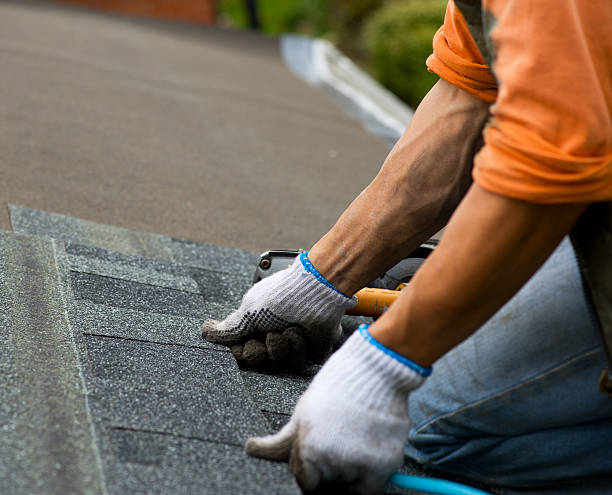 Best Roof Inspection Near Me  in Martinsvle, IL