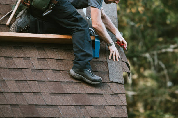 Best Sealant for Roof  in Martinsvle, IL
